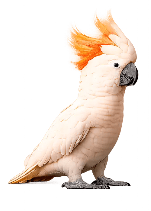 Talletuspalvelut yrityksille