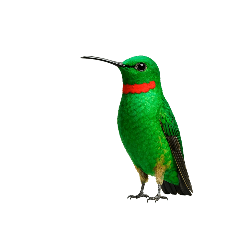 Alisa Pankin sijoittajakalenteri