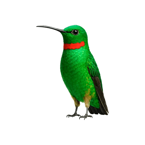 Yritystili edullisella hinnalla