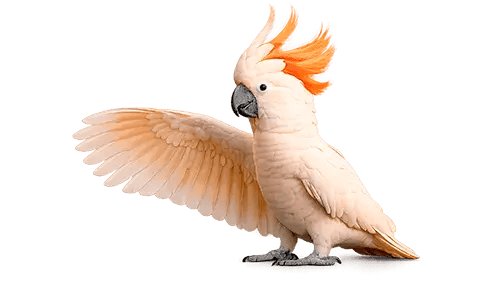 Henkilötietojen käyttö