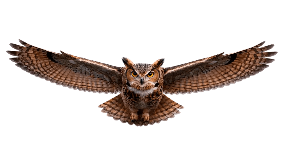 Digitaalisten palveluiden käyttöehdot